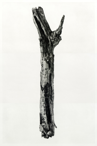 15,9cm
