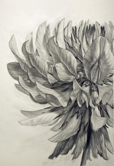 TOWER HEAD as WHITE CLOVER FLOWER
