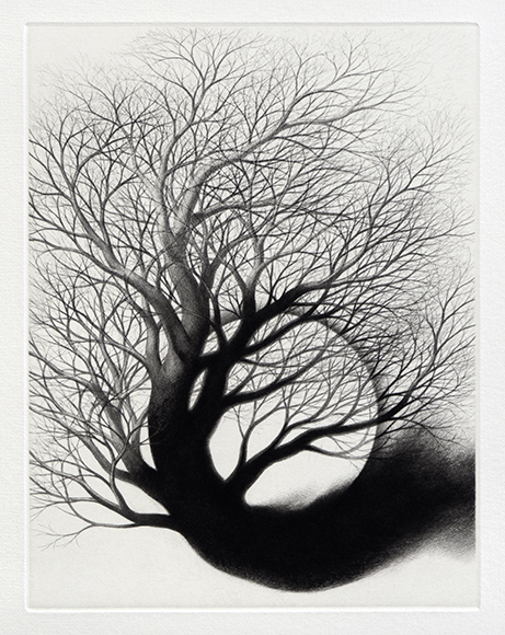 COURSE OF NATURE II