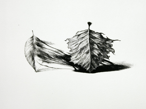 EXTENDED DOODLES 7