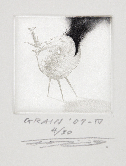 GRAIN '07-IV