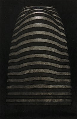 UNTITLED (solid of black stripes)