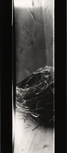 PINHOLE PHOTO